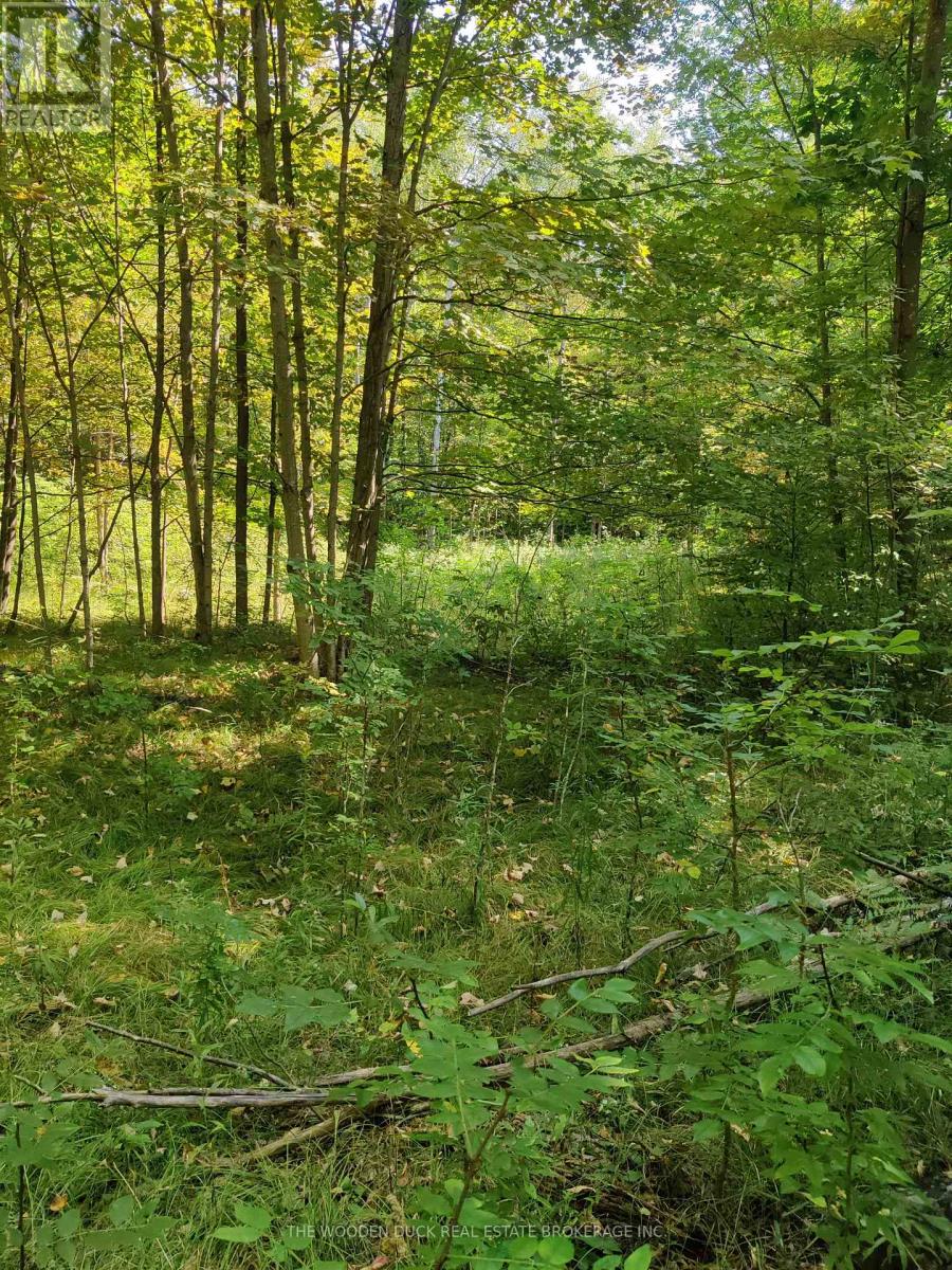 0east1 Road Allowance Road, Havelock-Belmont-Methuen, Ontario K0L 1Z0 - Photo 2 - X12969960