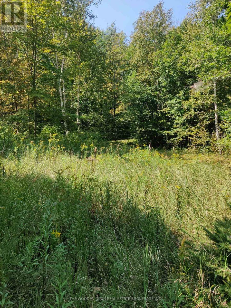 0east1 Road Allowance Road, Havelock-Belmont-Methuen, Ontario K0L 1Z0 - Photo 3 - X12969960