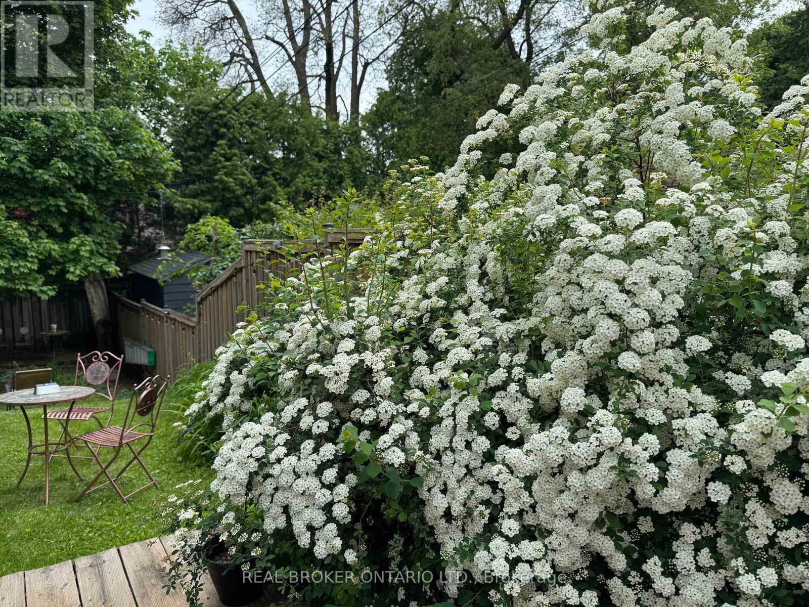 413 Roselawn Avenue, Toronto, Ontario  M5N 1J9 - Photo 38 - C12970092