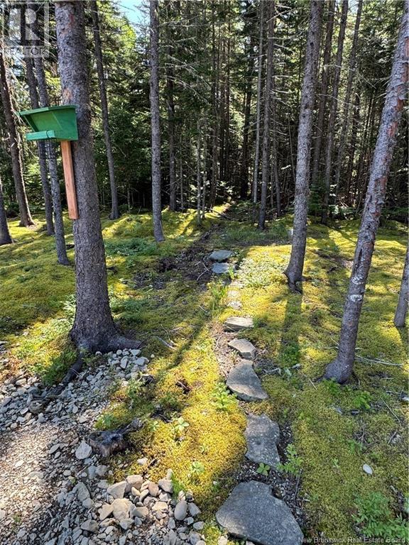 11 Burt Cliff Rd, Juniper, New Brunswick  E7L 1J1 - Photo 45 - NB136723