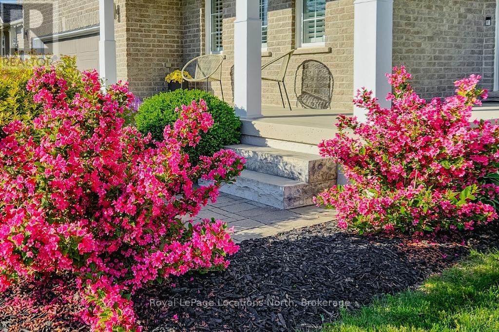 11 Dance Street, Collingwood, Ontario  L9Y 0H4 - Photo 2 - S12969704