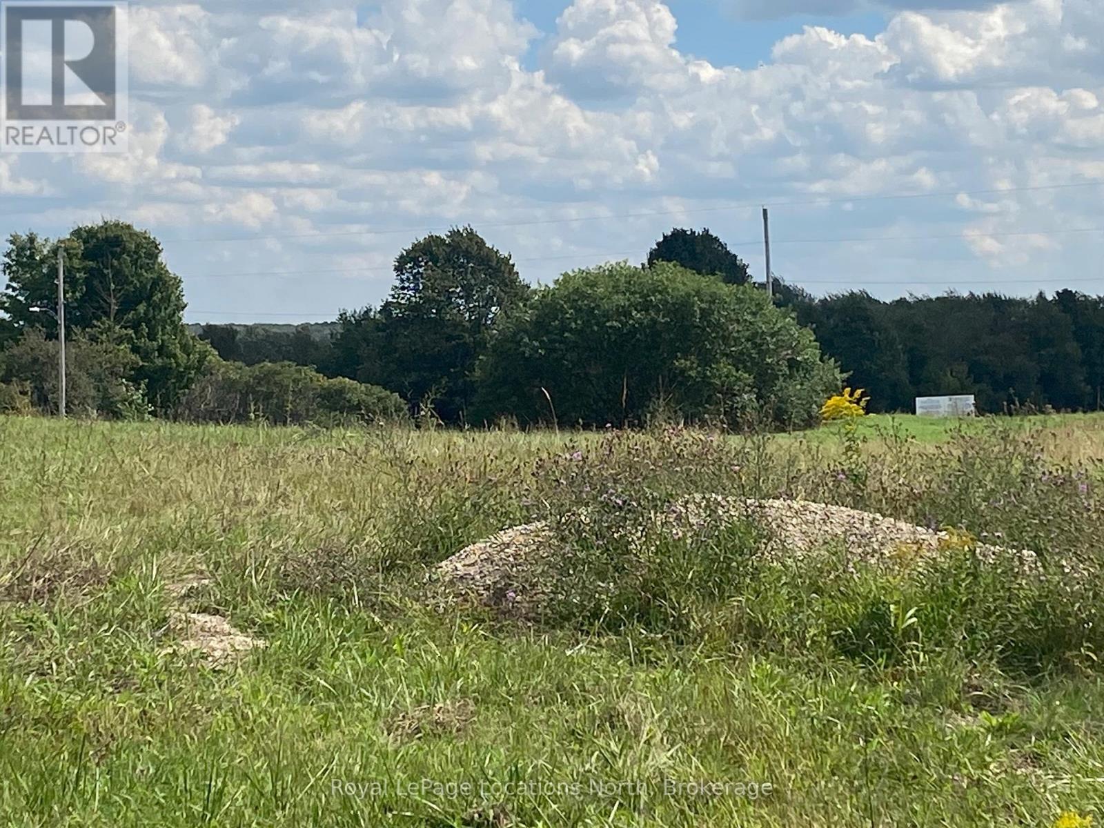 26 Park Street W, Minto, Ontario  N0G 1M0 - Photo 3 - X12965328