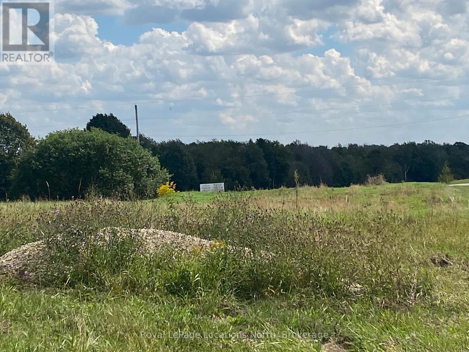 26 Park Street W, Minto, Ontario  N0G 1M0 - Photo 2 - X12965328