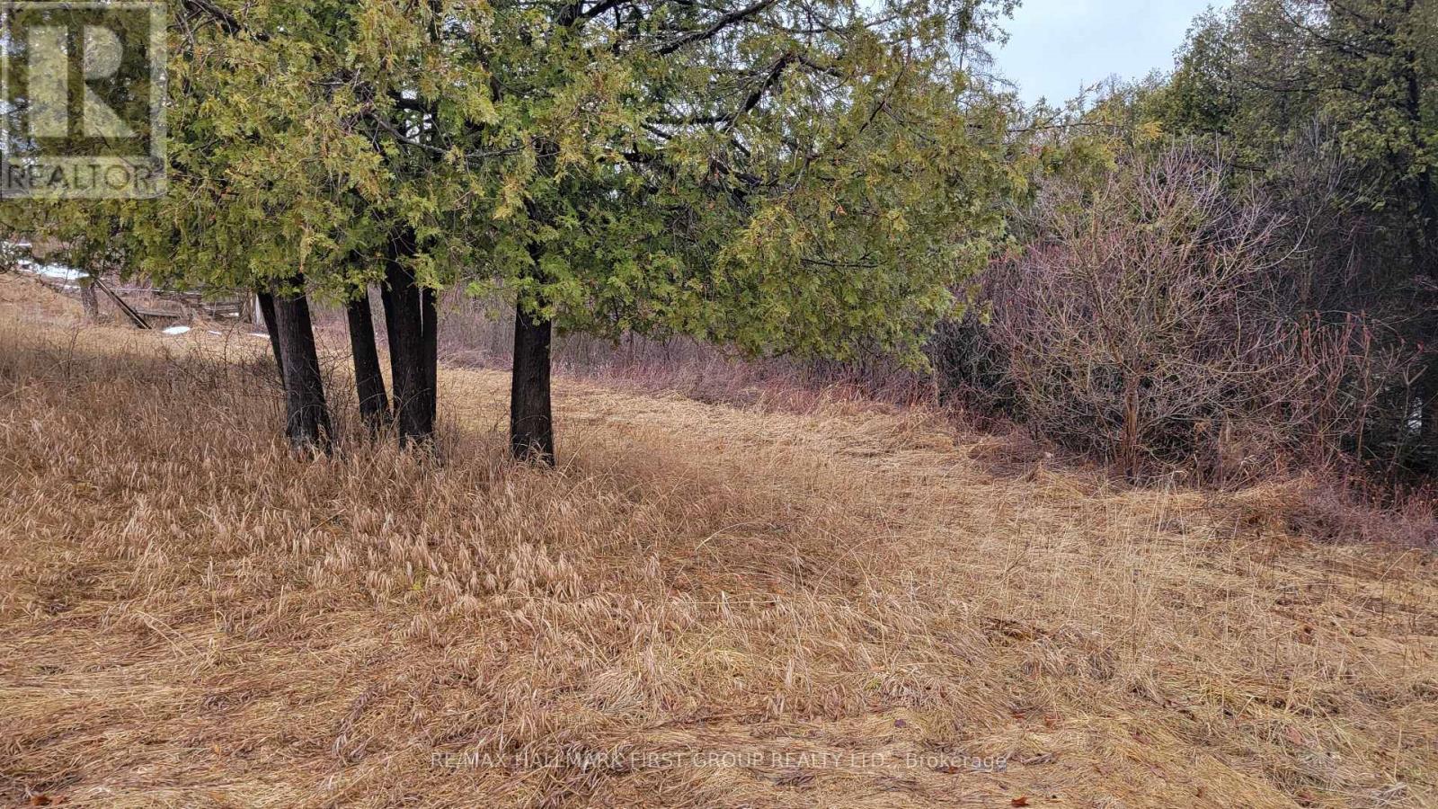 N/a East Hungerford Road, Tweed, Ontario  K0K 3J0 - Photo 5 - X12970406