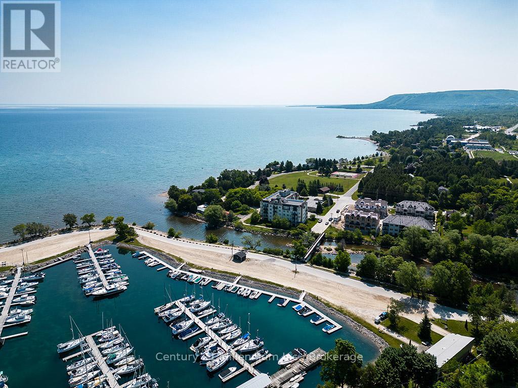 407 - 10 Bay Street E, Blue Mountains, Ontario  N0H 2P0 - Photo 2 - X12970070