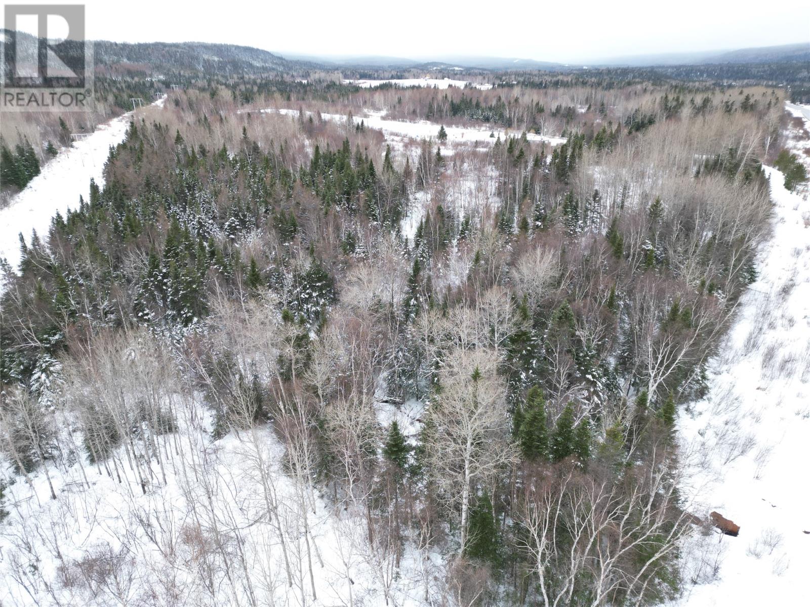 0 Springdale Junction Rd Road, Springdale, Newfoundland & Labrador  A0J 1T0 - Photo 2 - 1278356