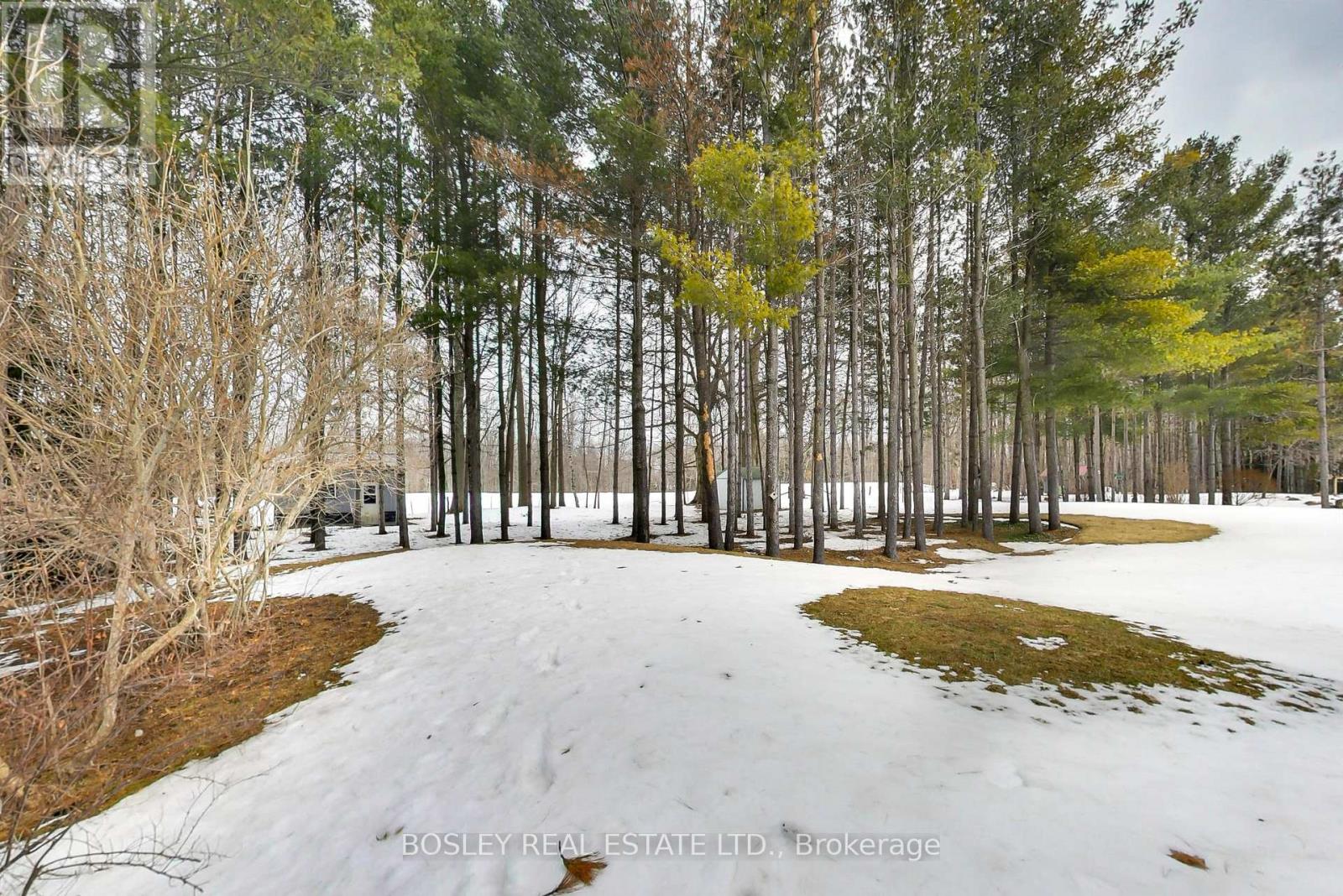 39 Martyn Drive, Wasaga Beach, Ontario  L9Z 1N6 - Photo 23 - S12970570