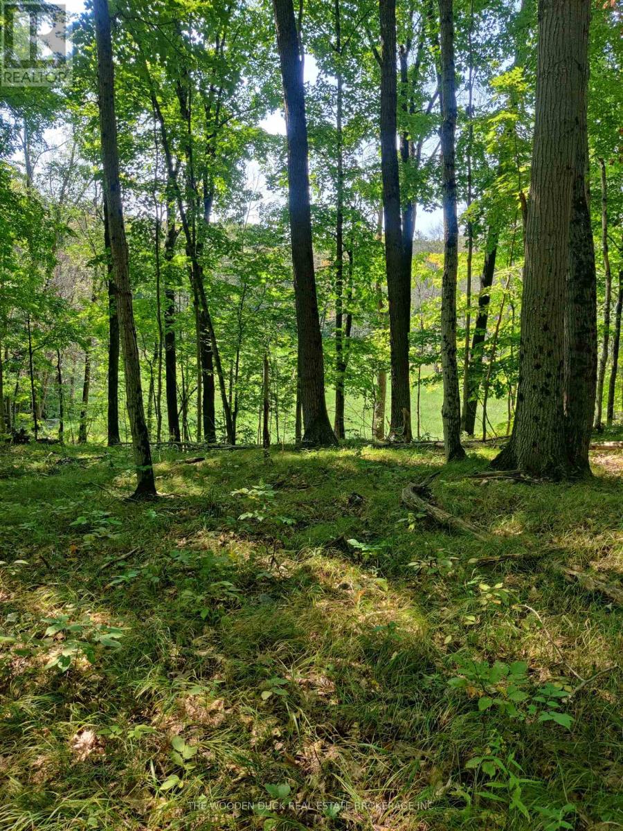 0EAST2 ROAD ALLOWANCE ROAD, Havelock-Belmont-Methuen, Ontario