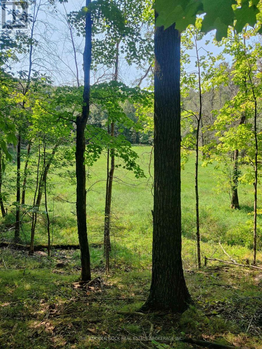 0east2 Road Allowance Road, Havelock-Belmont-Methuen, Ontario K0L 1Z0 - Photo 2 - X12970720