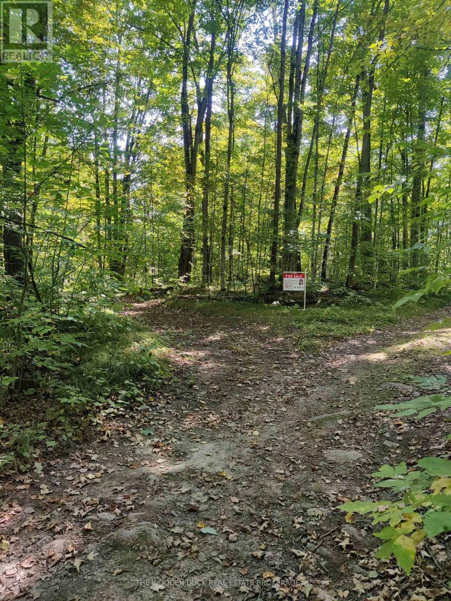 0east2 Road Allowance Road, Havelock-Belmont-Methuen, Ontario K0L 1Z0 - Photo 4 - X12970720