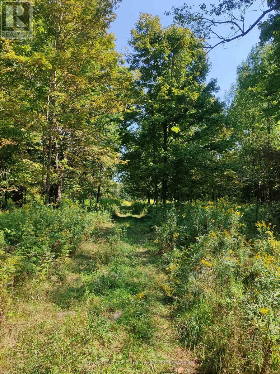 0east2 Road Allowance Road, Havelock-Belmont-Methuen, Ontario K0L 1Z0 - Photo 5 - X12970720