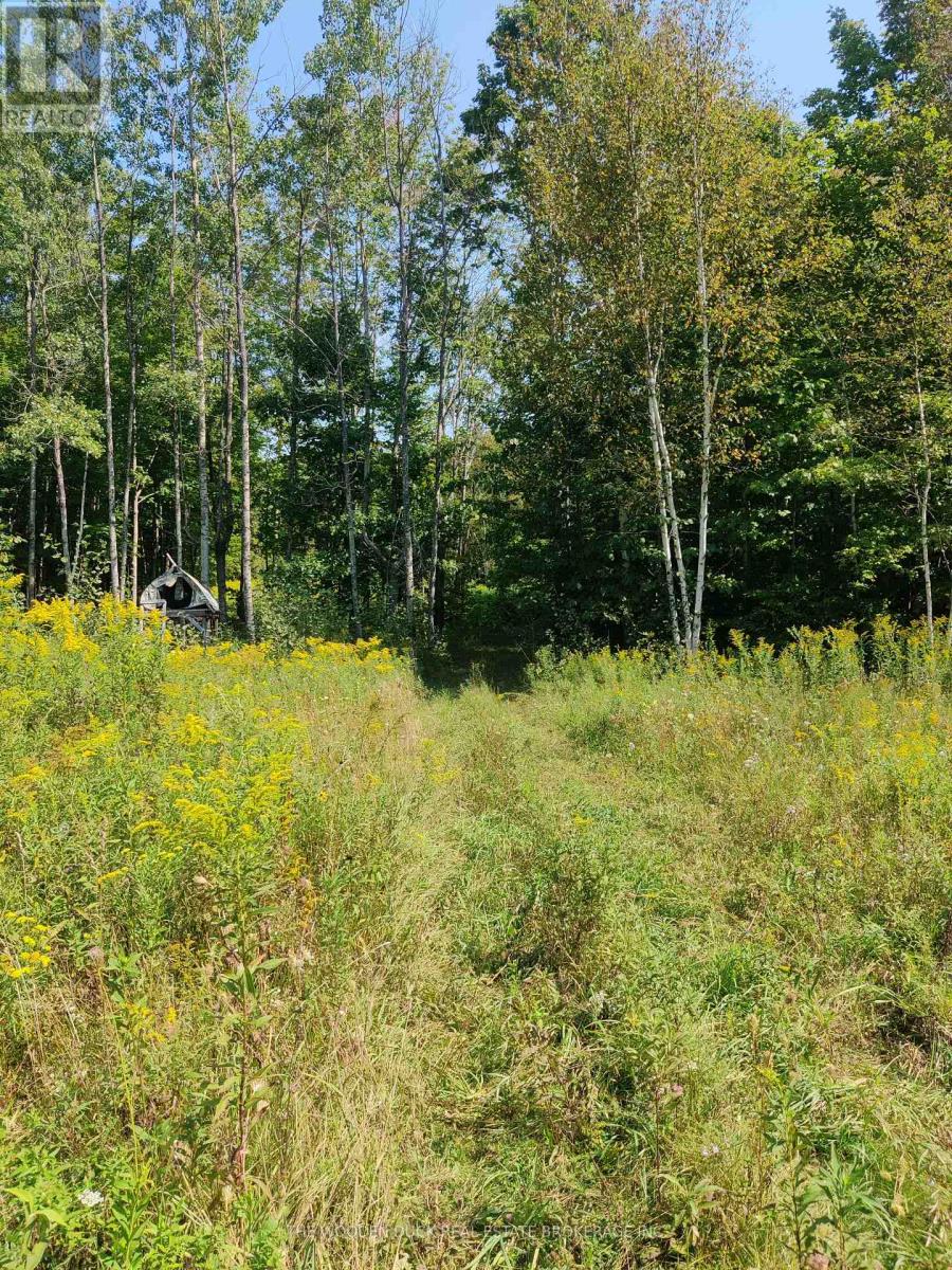 0east2 Road Allowance Road, Havelock-Belmont-Methuen, Ontario K0L 1Z0 - Photo 6 - X12970720