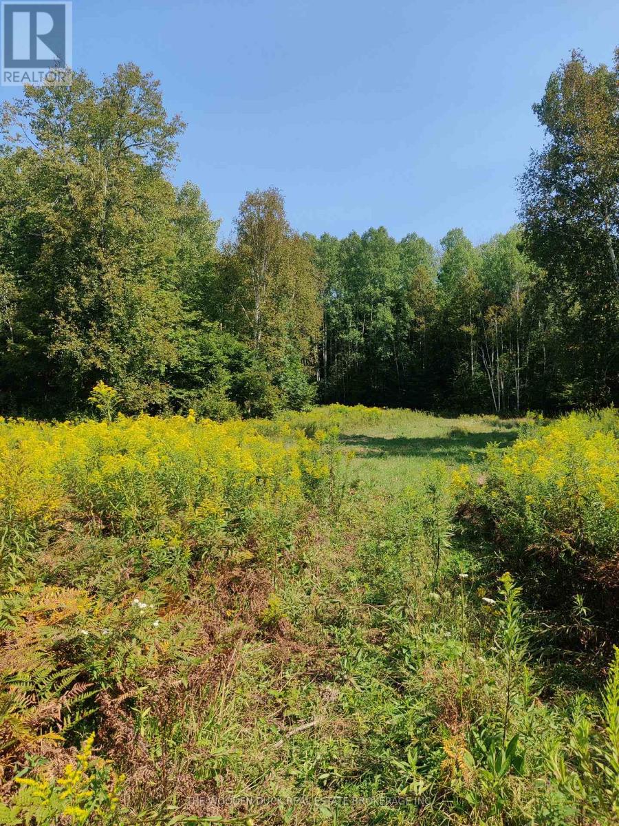 0east2 Road Allowance Road, Havelock-Belmont-Methuen, Ontario K0L 1Z0 - Photo 7 - X12970720