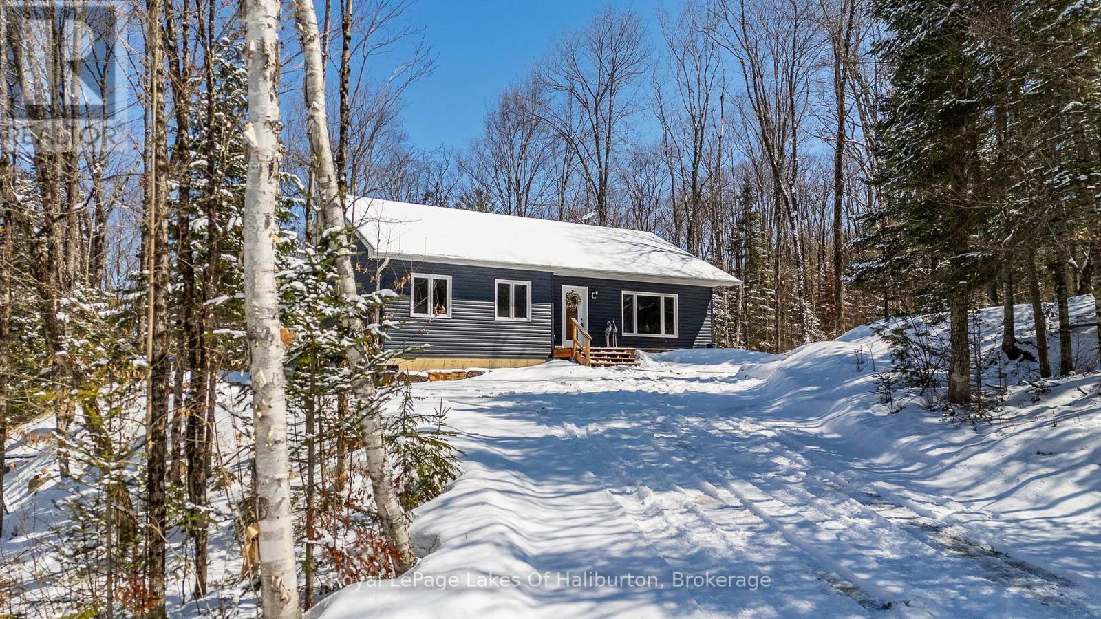 260 MOUNTAIN STREET, Dysart et al, Ontario