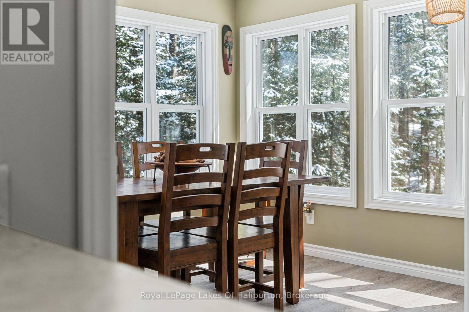 260 Mountain Street, Dysart Et Al (Dysart), Ontario  K0M 1S0 - Photo 21 - X12970822