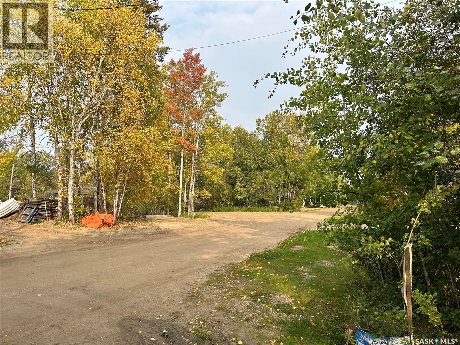 15 Mary Anne Place, Paddockwood Rm No. 520, Saskatchewan  S0J 0N0 - Photo 9 - SK020416