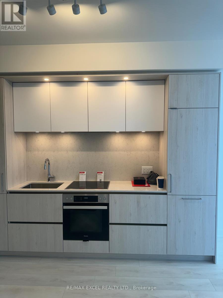 3913 - 35 Mercer Street, Toronto, Ontario M5V 1H2 - Photo 4 - C12970842