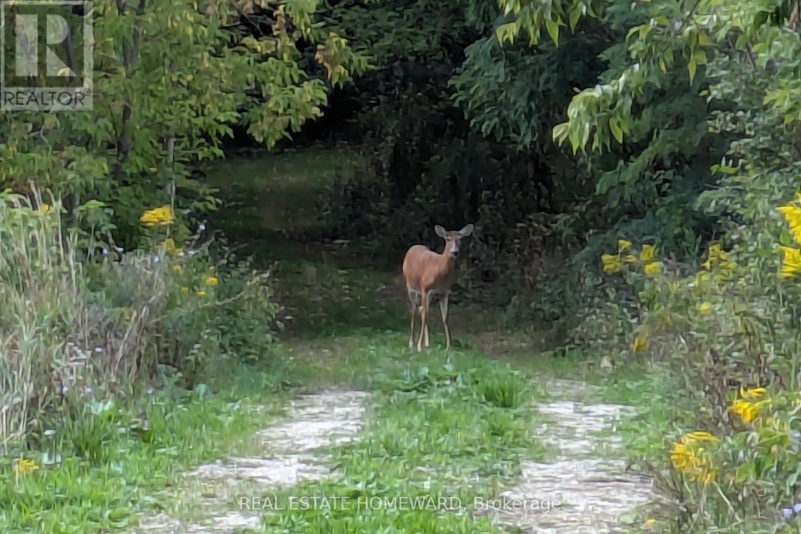 401 - 684 Warden Avenue, Toronto, Ontario  M1L 4W4 - Photo 33 - E12970754