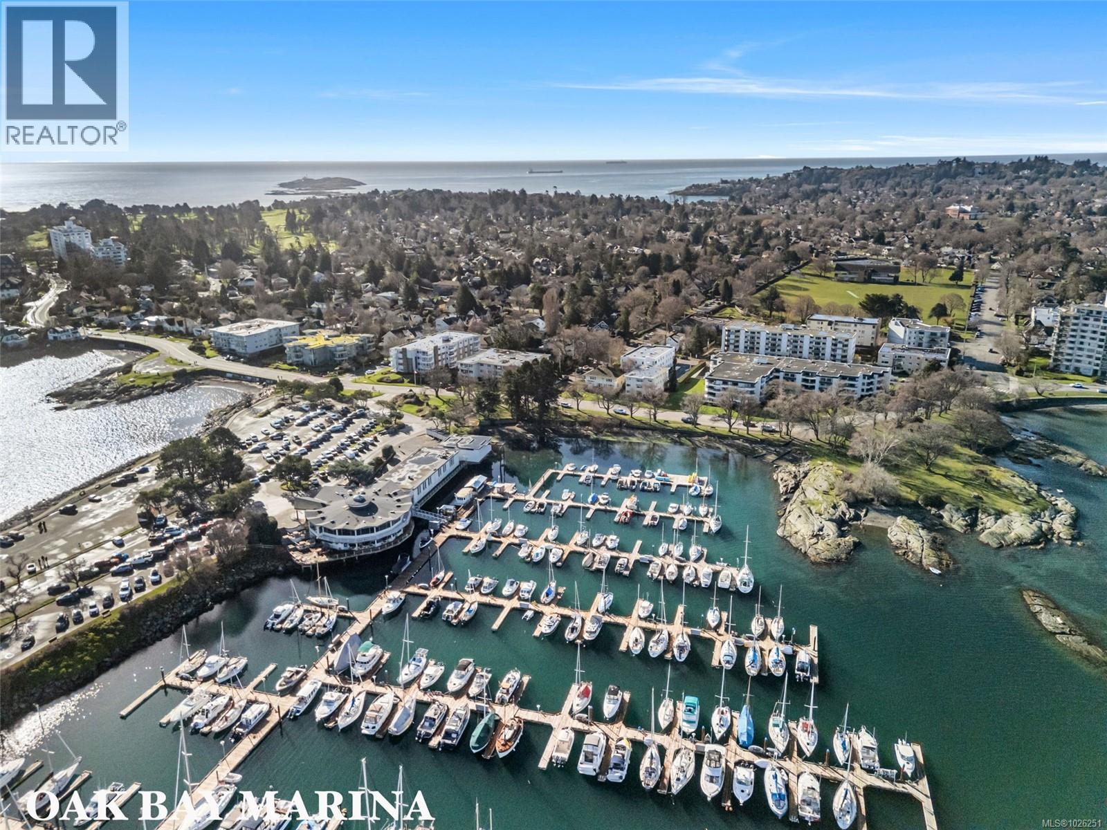 990 Hampshire Rd, Oak Bay, British Columbia  V8S 4S7 - Photo 46 - 1026251