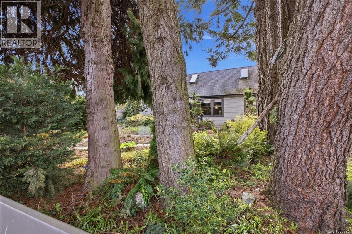 145 Prideaux St, Nanaimo, British Columbia  V9R 2M8 - Photo 68 - 1030825