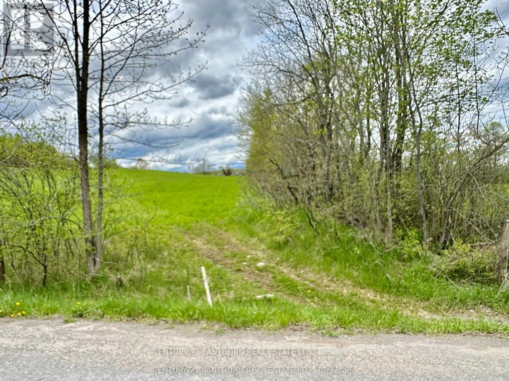 00 Lahey Road, Centre Hastings, Ontario  K0K 2K0 - Photo 9 - X12971128
