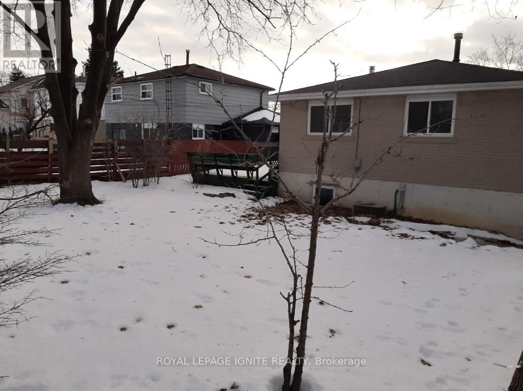 Main - 21 Humheller Road, Toronto, Ontario  M9W 5K2 - Photo 12 - W12781676