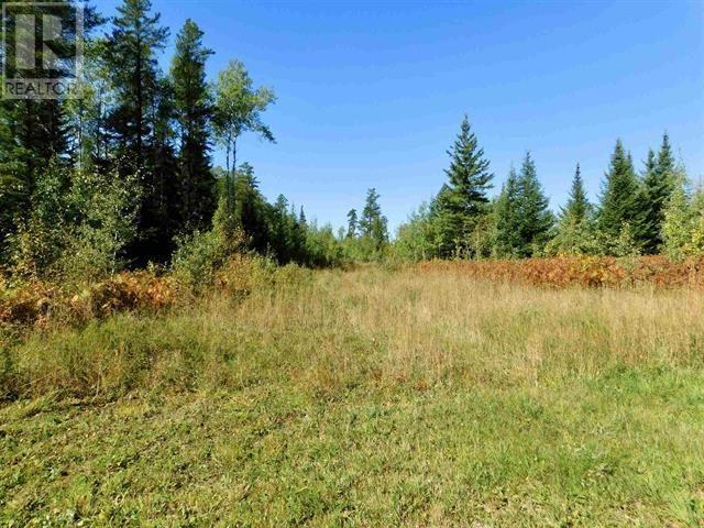 0 Chavall Rd, Machin, Ontario  P8N 2E0 - Photo 16 - TB252222