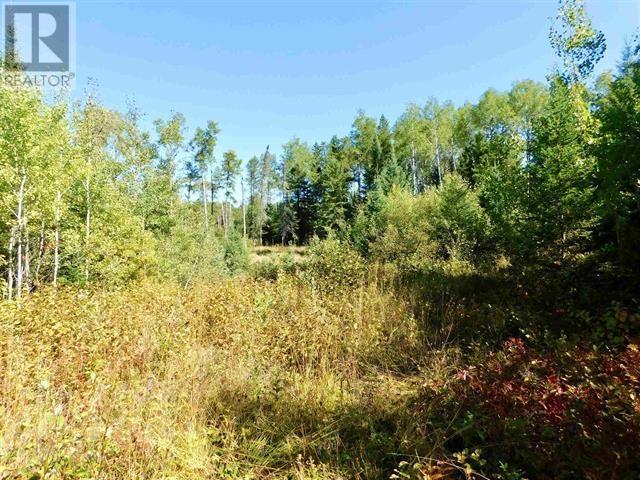 0 Chavall Rd, Machin, Ontario  P8N 2E0 - Photo 24 - TB252222