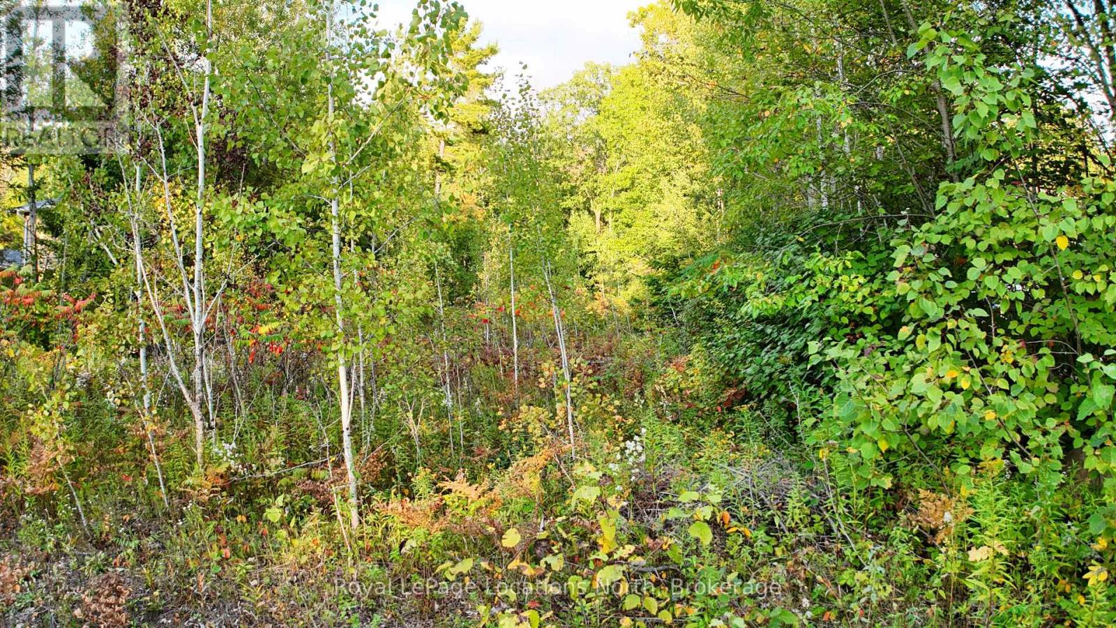 LOT 17 RONALD AVE AVENUE, Tiny, Ontario