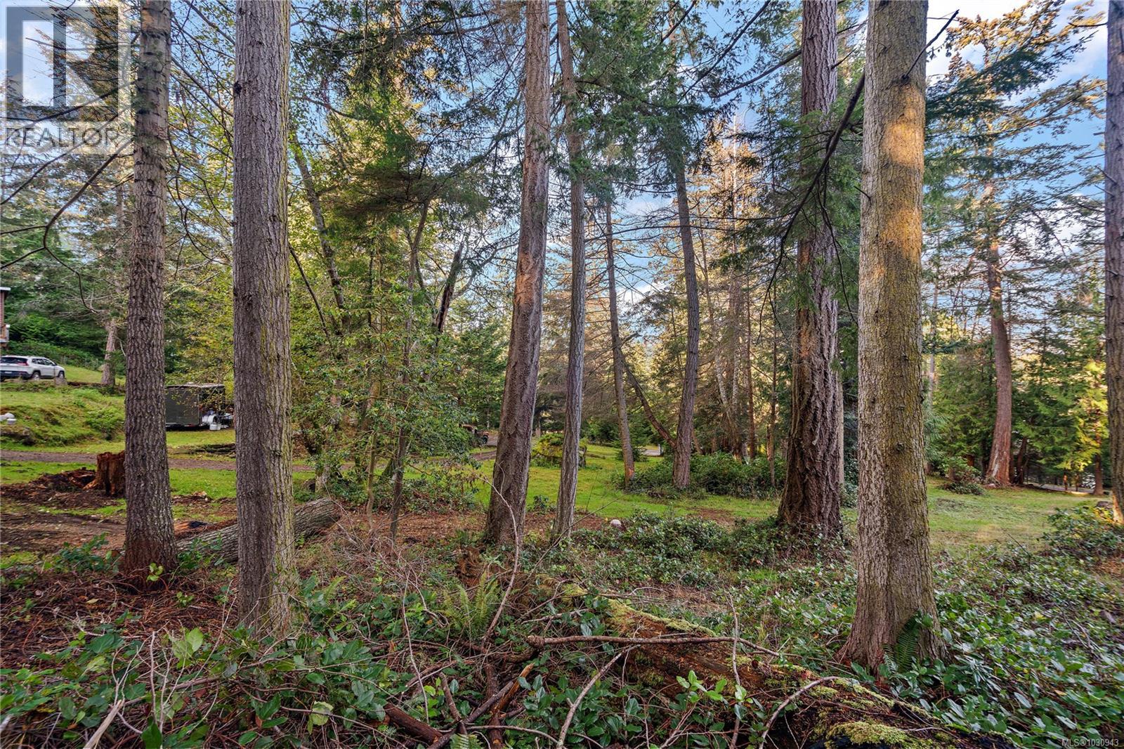 610 Tumbo Channel Rd, Saturna Island, British Columbia  V0N 2Y0 - Photo 11 - 1030943