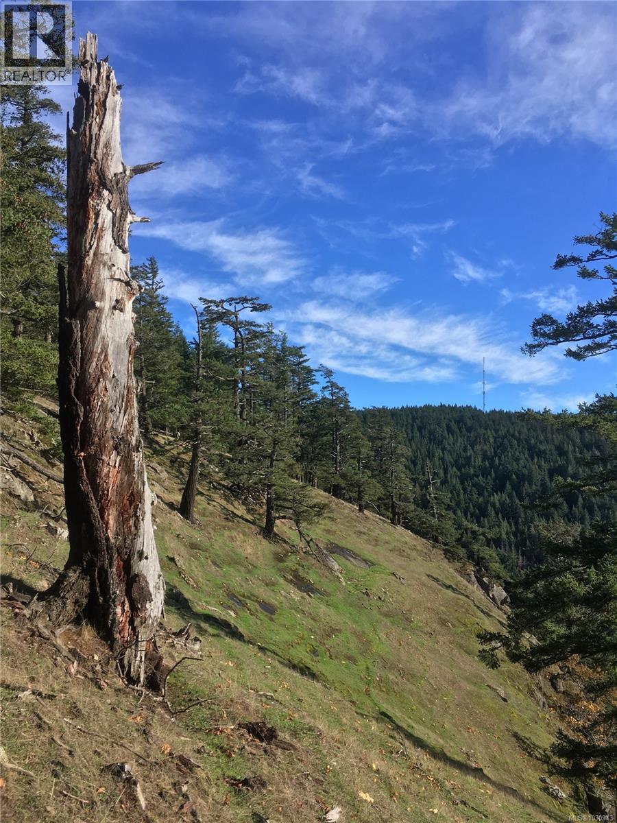 610 Tumbo Channel Rd, Saturna Island, British Columbia  V0N 2Y0 - Photo 24 - 1030943