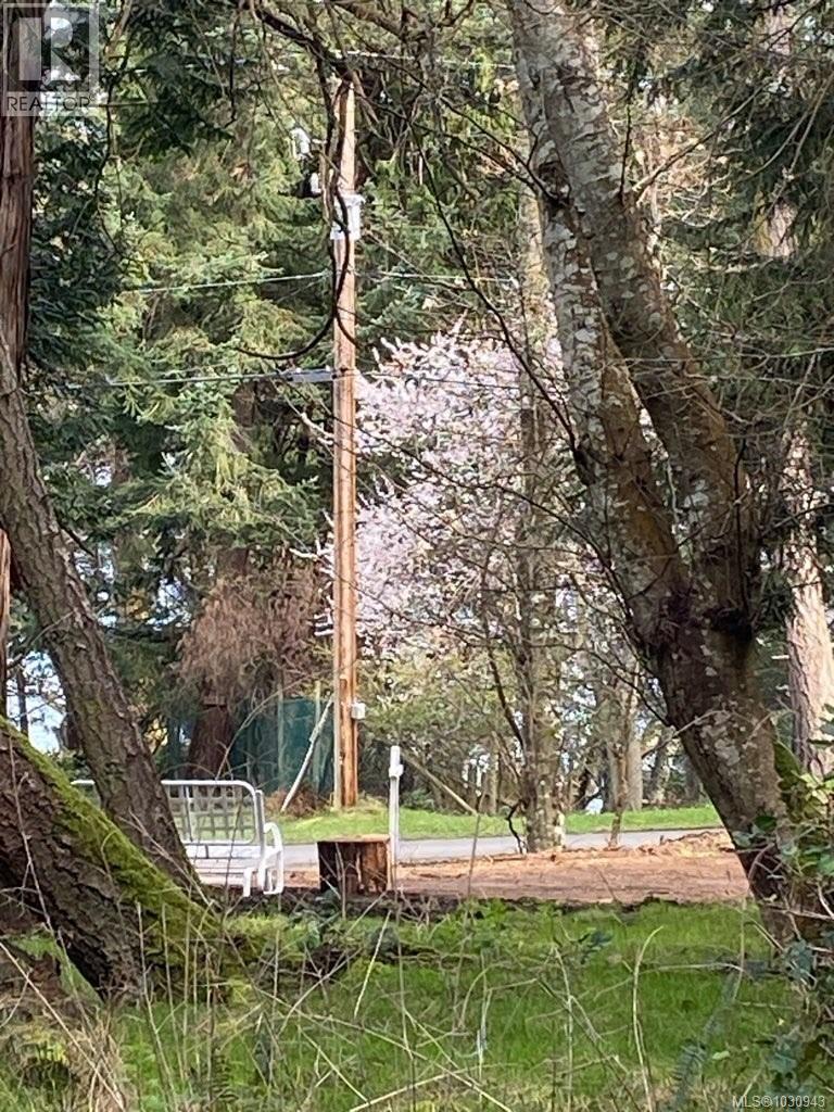 610 Tumbo Channel Rd, Saturna Island, British Columbia  V0N 2Y0 - Photo 26 - 1030943