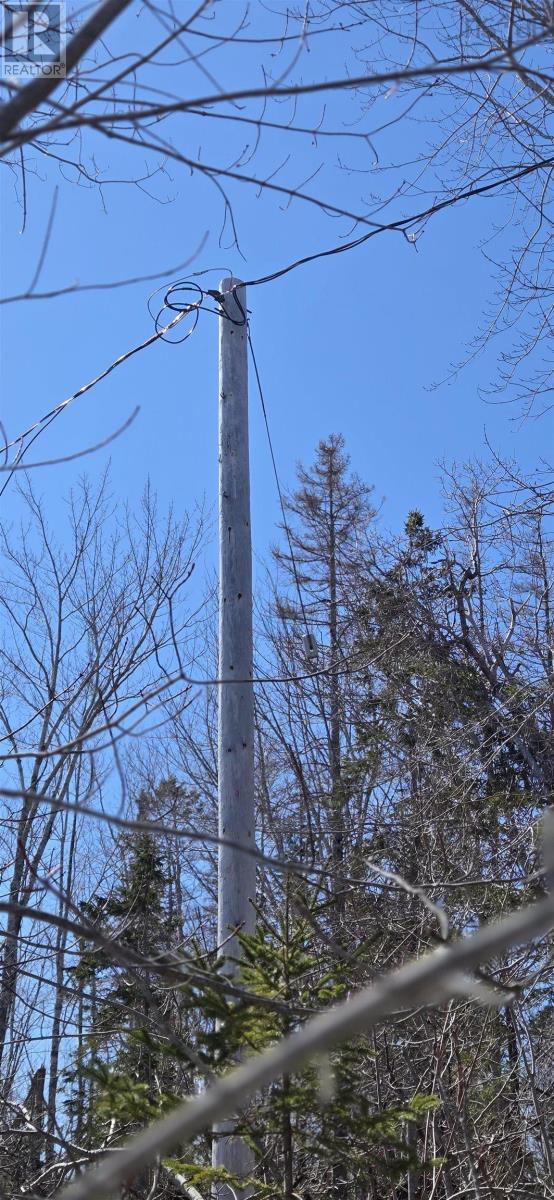 153 Taylors Road, Pomquet, Nova Scotia  B2G 2L4 - Photo 3 - 202606536