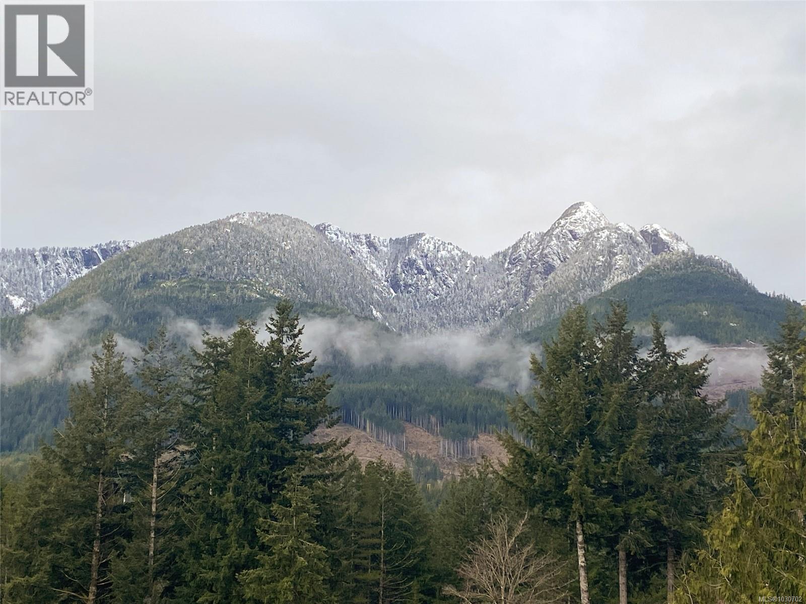 419 Golden Hinde Pl, Gold River, British Columbia V0P 1G0 - Photo 35 - 1030702