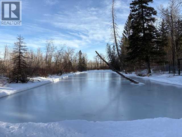 8520 48 Avenue NW, Calgary, Alberta  T3B 2A6 - Photo 4 - A2298895