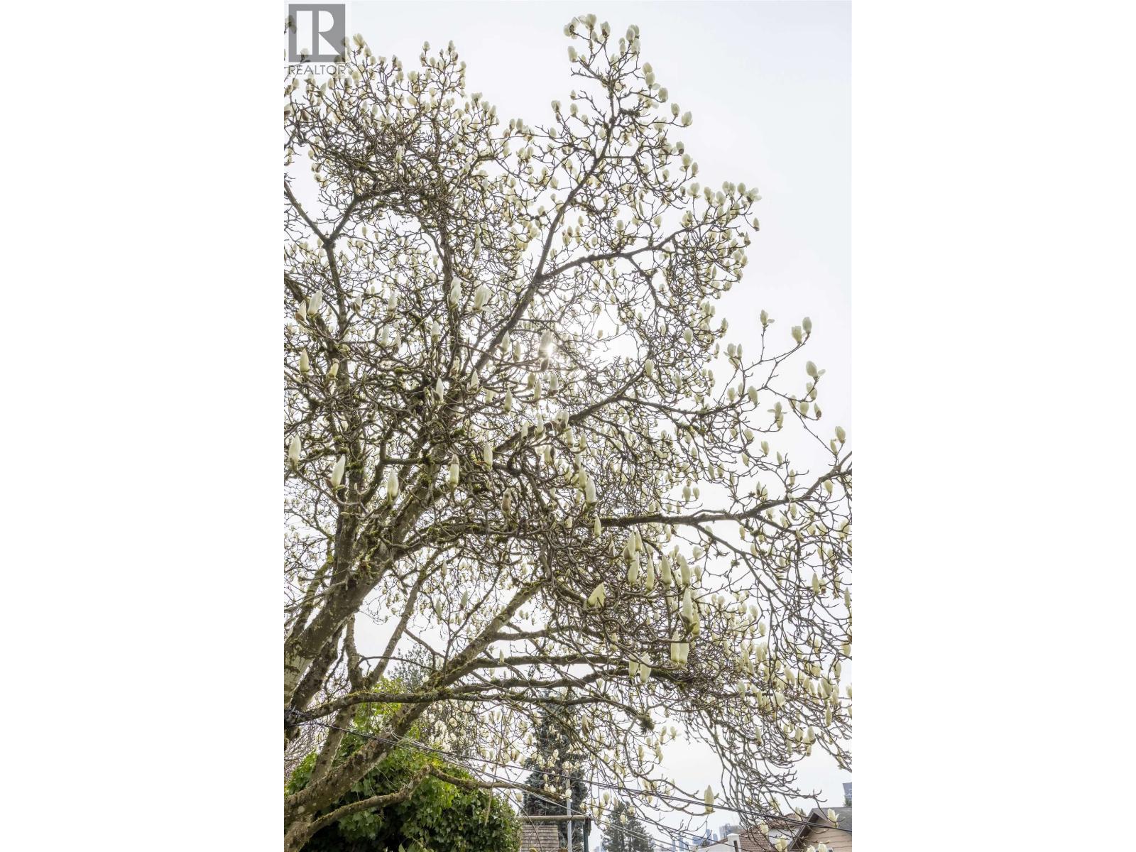 1277 Holdom Avenue, Burnaby, British Columbia  V5B 3V5 - Photo 12 - R3108048