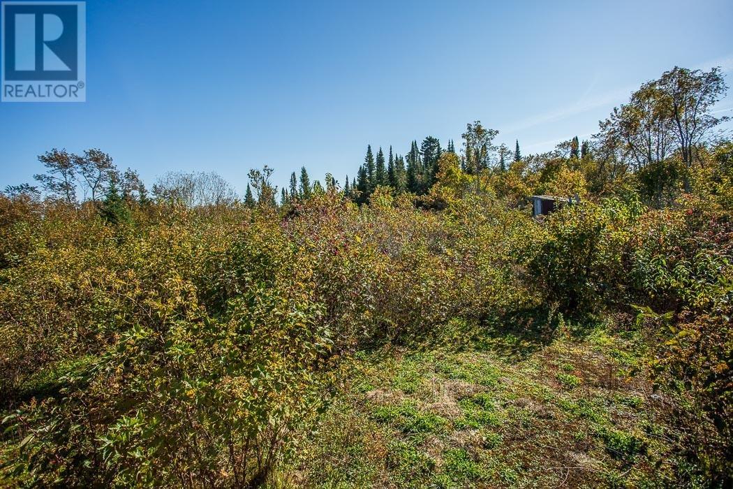 South Lizard Island, Algoma, Ontario  P0S 1K0 - Photo 45 - SM251872