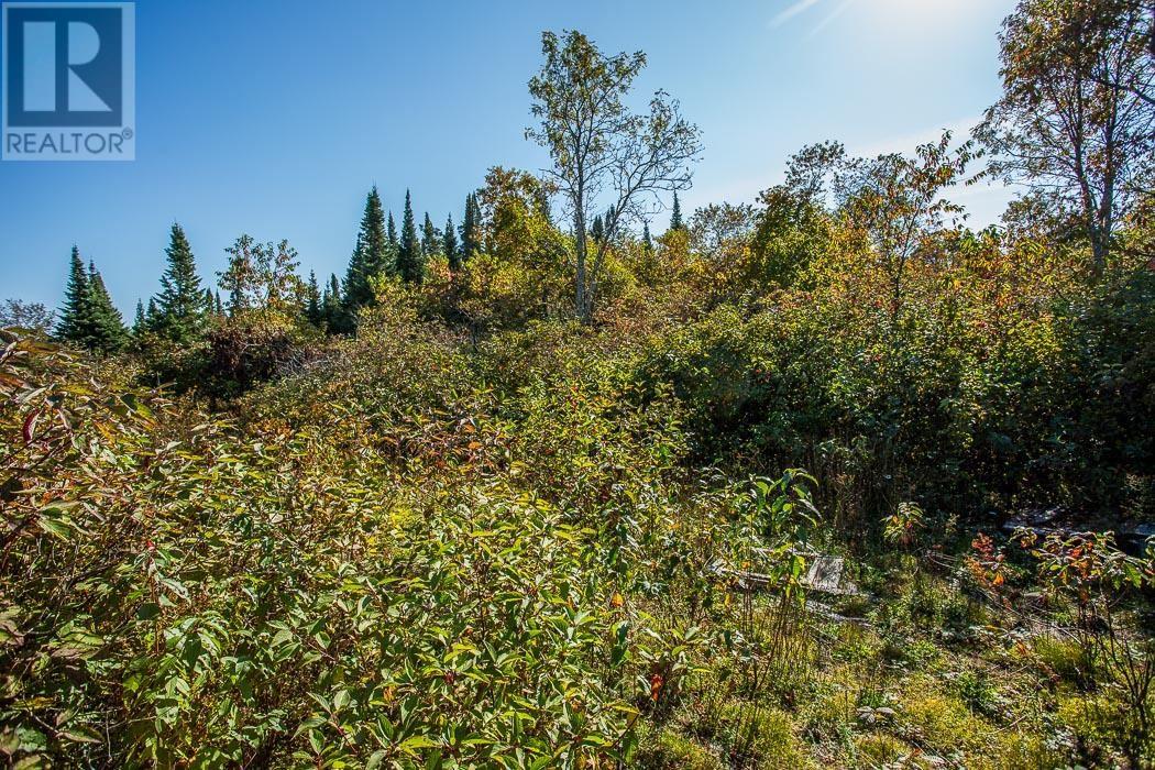 South Lizard Island, Algoma, Ontario  P0S 1K0 - Photo 48 - SM251872
