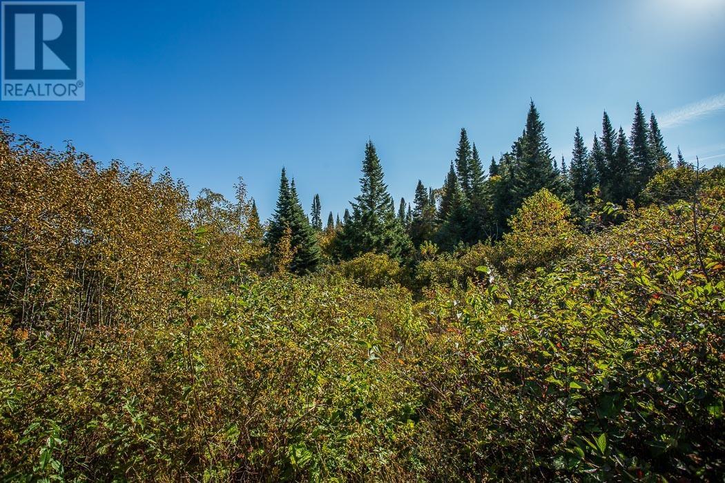 South Lizard Island, Algoma, Ontario  P0S 1K0 - Photo 50 - SM251872