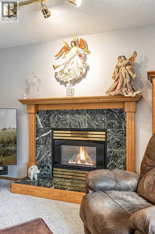 87 Prairie Drive Ne, Medicine Hat, Alberta  T1C 1R3 - Photo 23 - A2283913