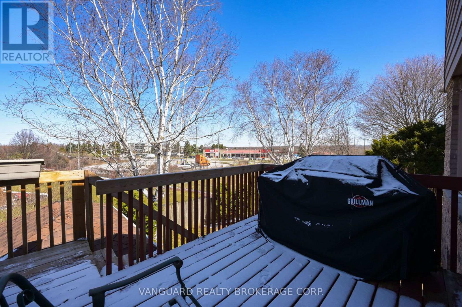 376 Britannia Avenue N, Bradford West Gwillimbury (Bradford), Ontario  L3Z 1A7 - Photo 49 - N12971276