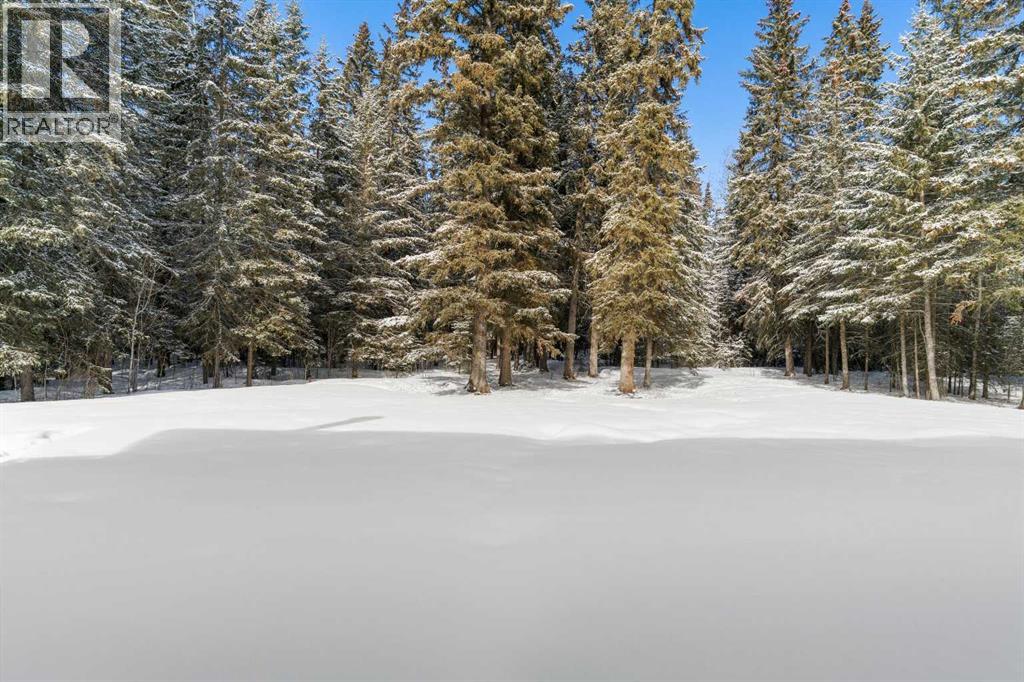 744044 Range Road 51, Rural Grande Prairie No. 1, Alberta  T0H 3C0 - Photo 35 - A2290406