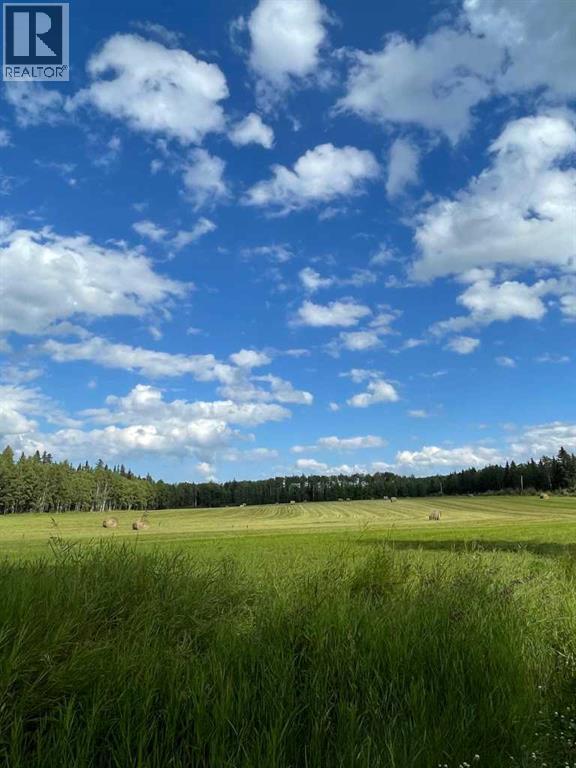 744044 Range Road 51, Rural Grande Prairie No. 1, Alberta  T0H 3C0 - Photo 46 - A2290406