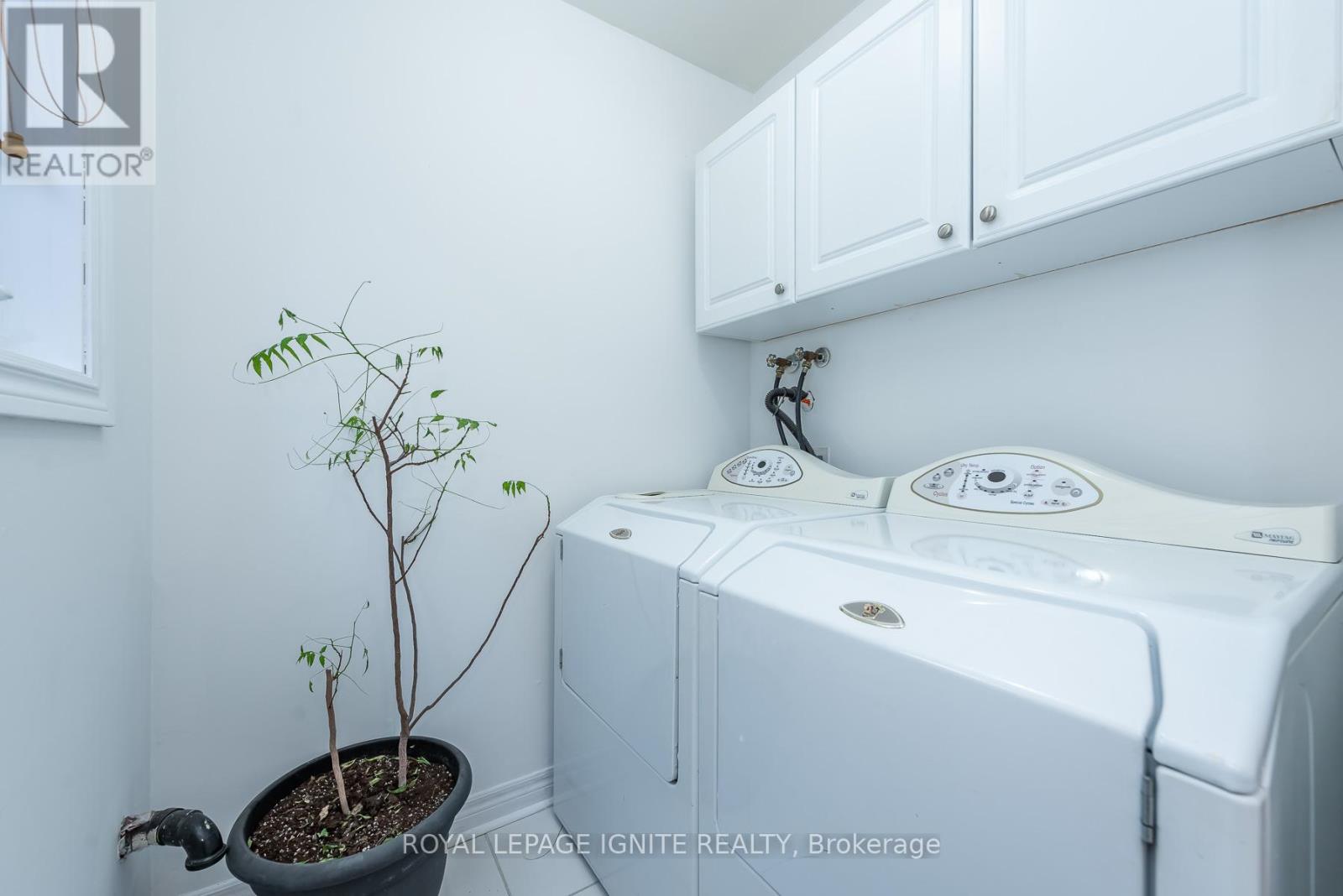 3 Todmorden Drive, Brampton, Ontario  L7A 1M5 - Photo 32 - W12952868