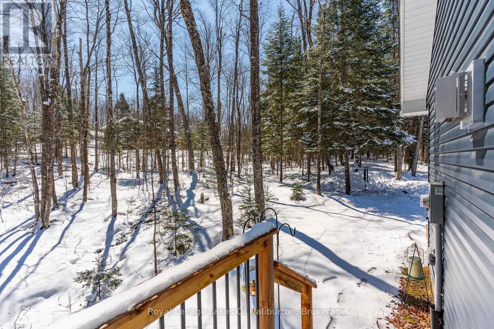 260 Mountain Street, Dysart Et Al (Dysart), Ontario  K0M 1S0 - Photo 38 - X12970822