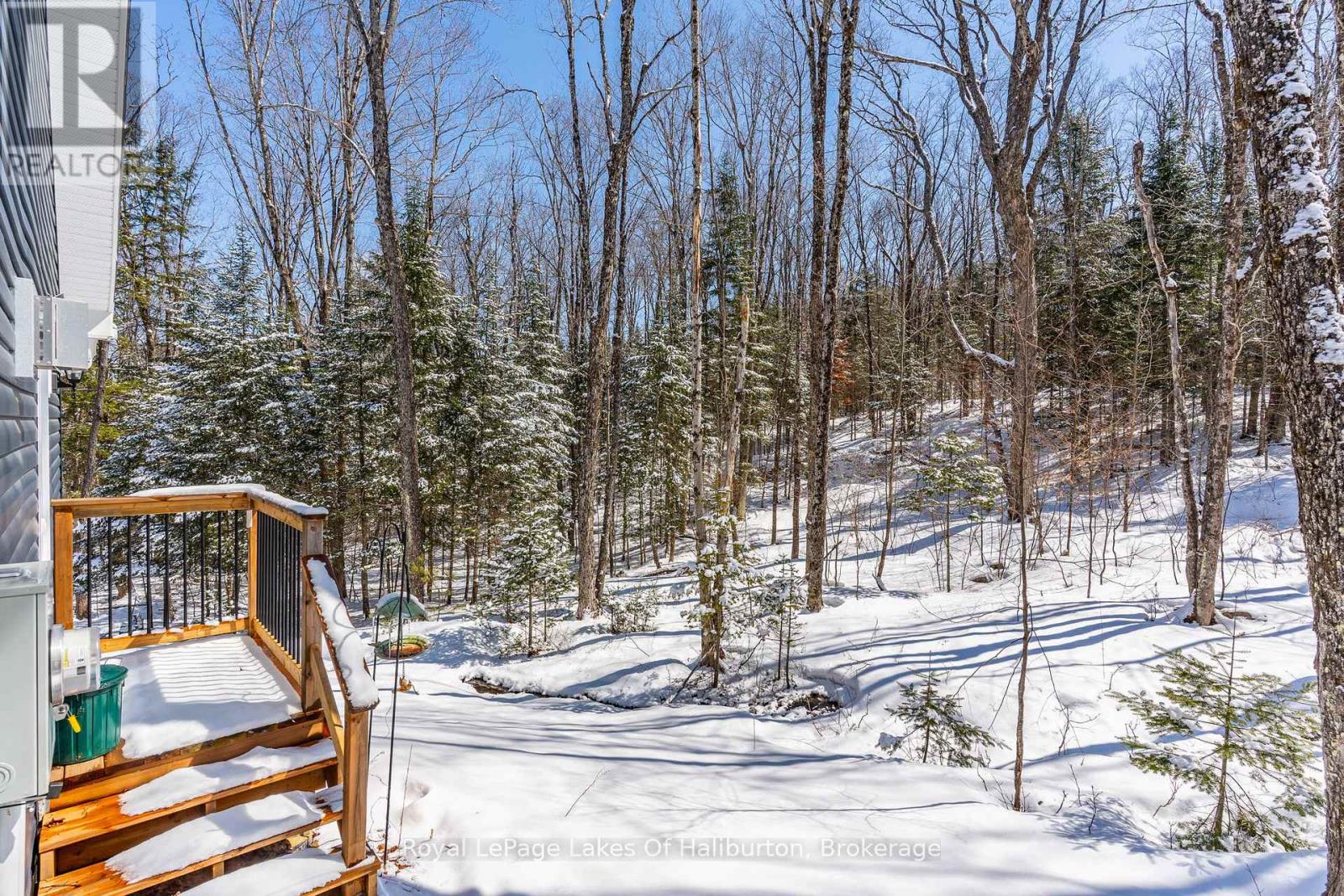 260 Mountain Street, Dysart Et Al (Dysart), Ontario  K0M 1S0 - Photo 39 - X12970822