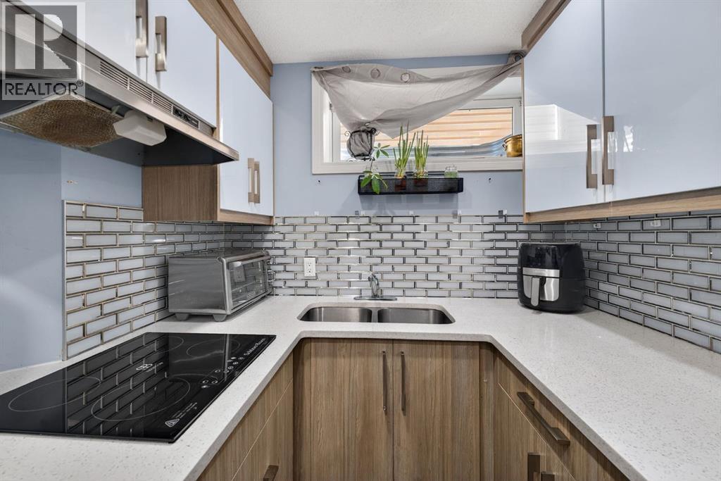 232 San Fernando Place Ne, Calgary, Alberta  T1Y 7J2 - Photo 27 - A2292627