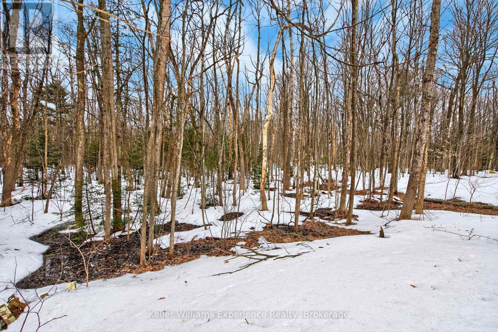 29 Nida Drive, Tiny, Ontario  L9M 0B3 - Photo 41 - S12971734