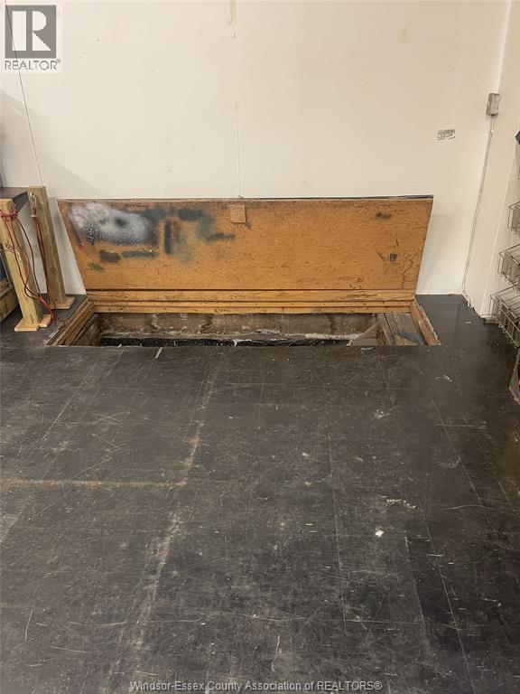 374 Shepherd Street West, Windsor, Ontario  N8X 1C3 - Photo 5 - 26007414