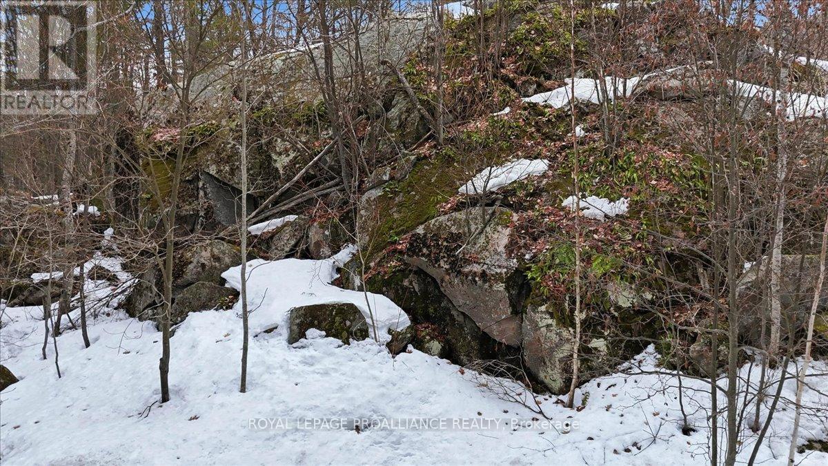 13 Mazinaw Heights Road N, Frontenac, Ontario  K0H 1K0 - Photo 38 - X12971506